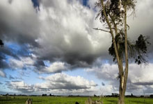 法甲会退出欧洲五大联赛吗？